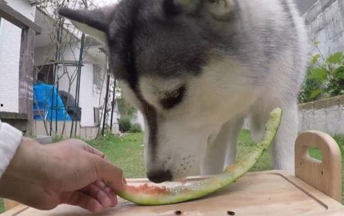 哈吃瓜网,哈吃瓜网带你领略明星幕后故事