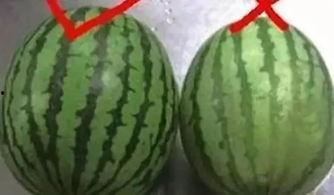 吃瓜汇总251,揭秘娱乐圈最新热点事件