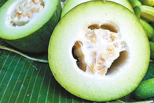 挖土瓜可以吃吗,揭秘其可食用之谜