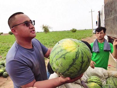 吃瓜树神,揭秘吃瓜树神的神秘传说与民间故事