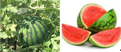 牧蓝吃瓜,揭秘娱乐圈幕后故事