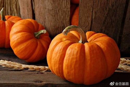 立秋吃瓜的好处,揭秘立秋吃瓜的五大好处