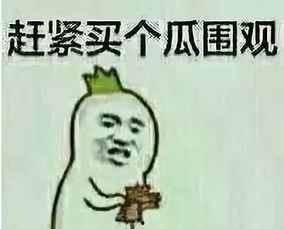 吃瓜群众头像大全,趣味横生的网络表情包盛宴