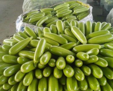 茭瓜痛风可以吃,合理食用，缓解痛风不适