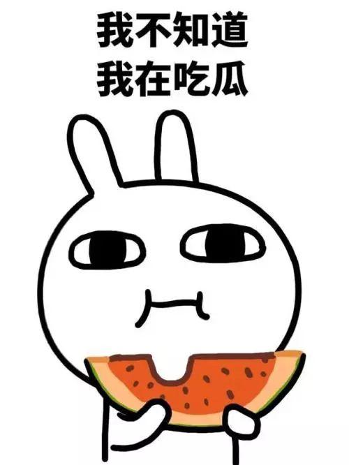 吃瓜qq 秃崽,吃瓜QQ背后的神秘故事