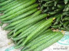 躲在阳台吃瓜,揭秘隐秘的夏日休闲时光