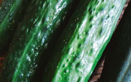 吃瓜系统功能,轻松掌握热门资讯，畅享娱乐盛宴