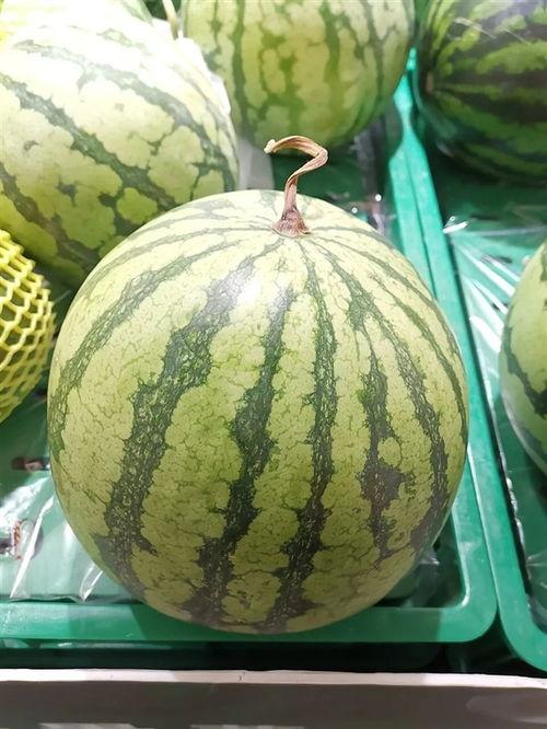 一零后吃瓜,新时代的“吃瓜群众”