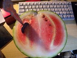 登哥吃瓜,一场娱乐圈的狂欢盛宴