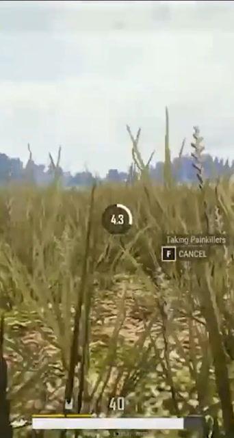 麦田公益吃瓜,一场别开生面的公益活动