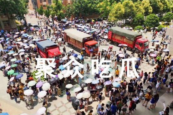 吃瓜学生校园,吃瓜学生的趣味观察记