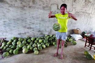 吃瓜奇葩图文图片,吃瓜群众的另类奇观