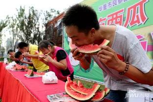 吃瓜大赛怎么组织,一场全民参与的欢乐盛宴组织攻略