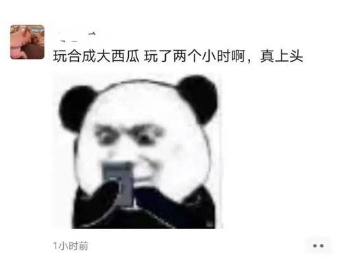 吃瓜不如,揭秘娱乐圈背后的真相