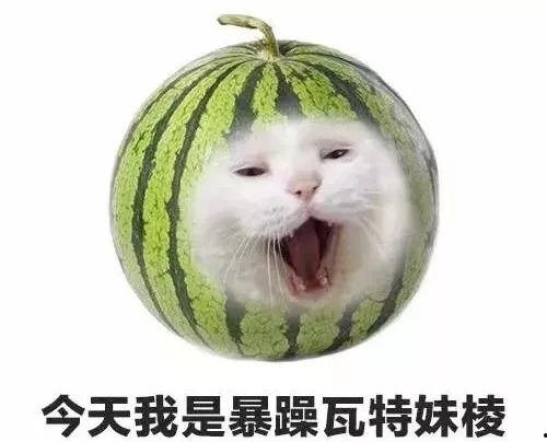 暴躁的吃瓜姐,揭秘娱乐圈风云背后的麻辣点评