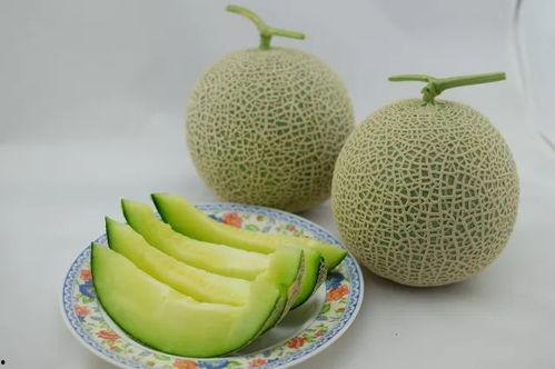 吃瓜带你看世界,吃瓜群众视角下的全球风云变幻