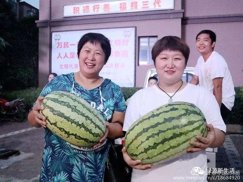 同城吃瓜照片,揭秘街头巷尾的热辣话题