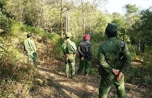 缅北打仗吃瓜事件视频,吃瓜群众视角下的冲突现场