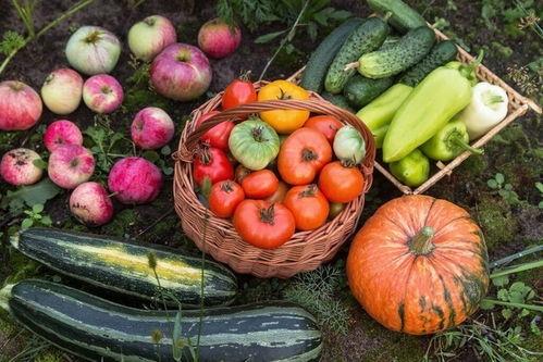 吃瓜5月,盘点娱乐圈热点事件与幕后真相