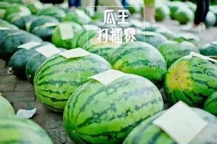 会吃瓜的王,揭秘娱乐圈幕后那些事儿