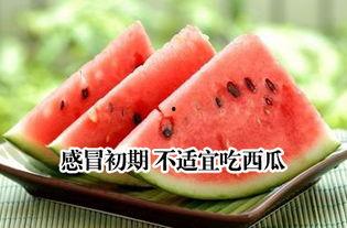 吃瓜感冒,揭秘瓜类食物与感冒的奇妙关系