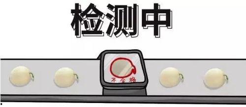 吃瓜盟主有问题吗,网络热议背后的真相与争议