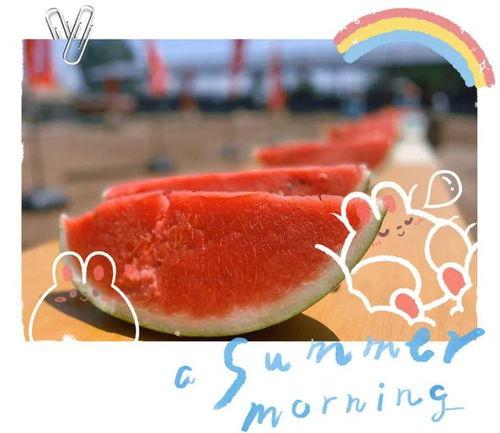 在线吃瓜2024,在线吃瓜，揭秘娱乐圈风云变幻