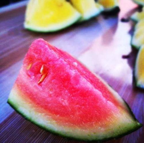 山东高职吃瓜,揭秘校园生活新潮流