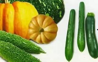 吃瓜宗门大瓜,一场惊心动魄的大瓜盛宴