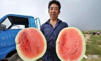 最强吃瓜图片大全,最强吃瓜图片大全，带你领略明星幕后真相