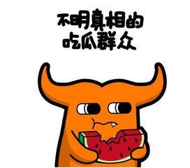 追星吃瓜仔,吃瓜仔的幕后故事