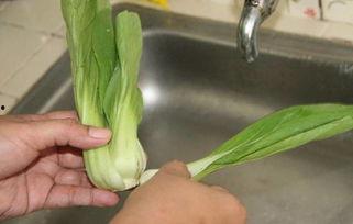 女子吃茄瓜,女子餐桌上的健康之选