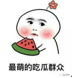 随便吃瓜就被抓小说