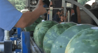 吃瓜上海中铁,吃瓜群众眼中的建筑奇迹