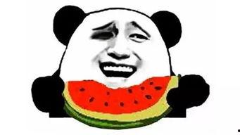 送你吃瓜,揭秘娱乐圈那些不为人知的幕后故事