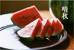 吃瓜二转,揭秘娱乐圈背后的惊人真相