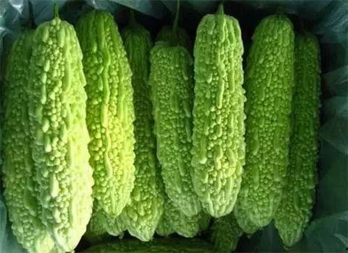 南宁杭州吃瓜,一场美食文化的跨界碰撞