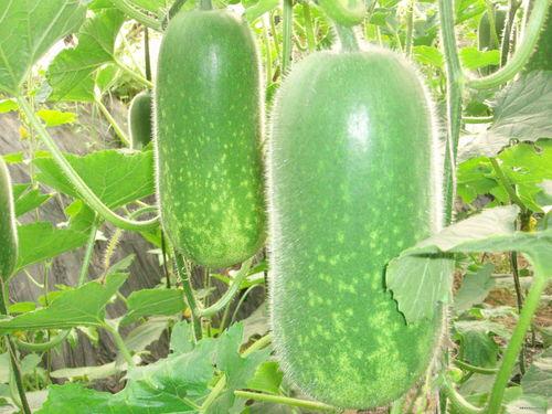 夏同学带你吃瓜,揭秘娱乐圈那些事儿