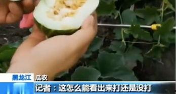 吃瓜还需谨慎,揭秘网络谣言背后的真相