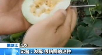 吃瓜还需谨慎,揭秘网络谣言背后的真相