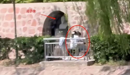 孟子像吃瓜情侣,情感观察与启示