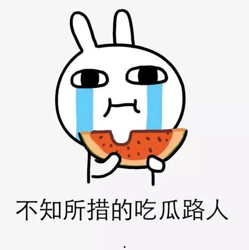 各位吃瓜群众键盘侠