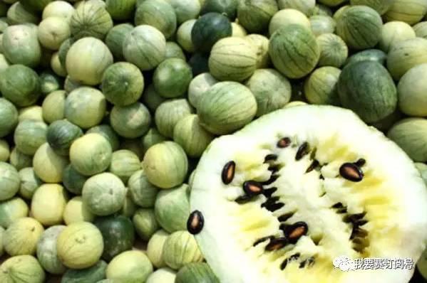 国际瓜到哪里吃,探寻国际瓜类美食的多样风味