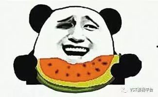 吃瓜群众没带瓜怎么办