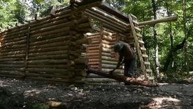 天津顺丰吃瓜,揭秘快递行业内部风波