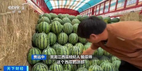 吃瓜lin,揭秘娱乐圈背后的那些事儿