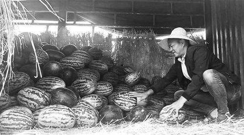 中缅吃瓜群众,见证两国友谊的甜蜜瞬间