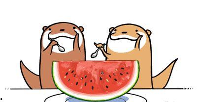 股海吃瓜,揭秘股市背后的吃瓜故事