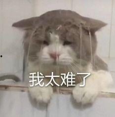 内娱吃瓜猹,揭秘娱乐圈背后的八卦风云