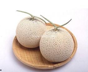 月经期间哈密瓜可以吃吗